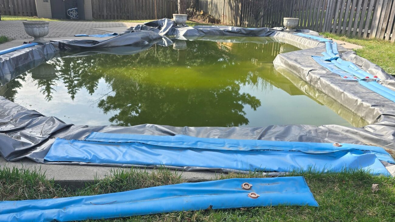 Inground pool Opening