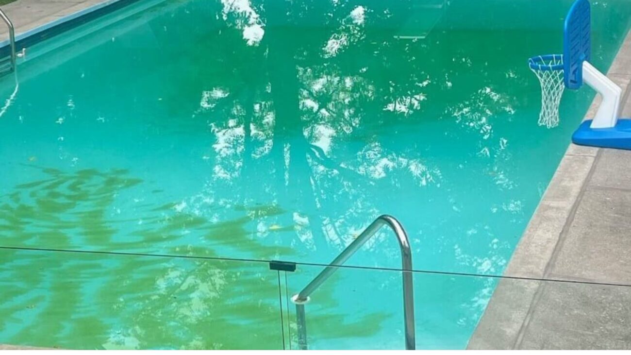 Rectangle Inground Pool Before Vacuum