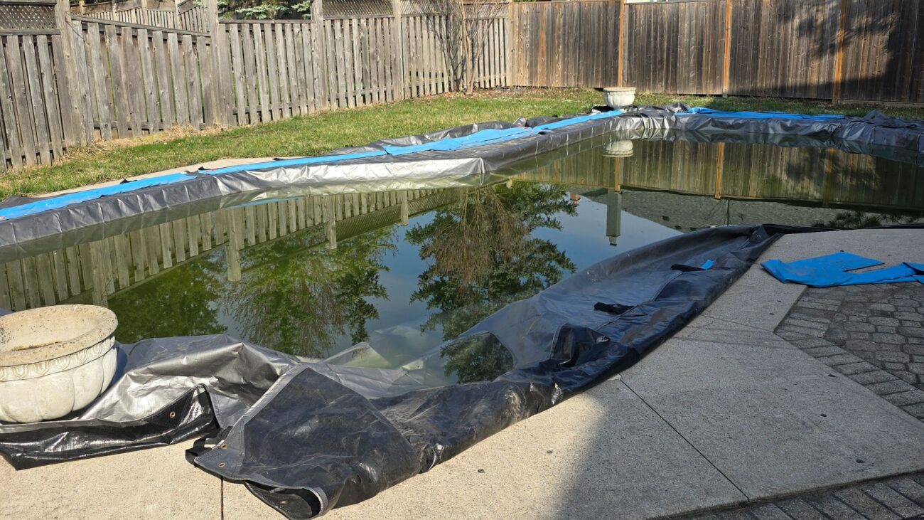 Inground Pool Opening