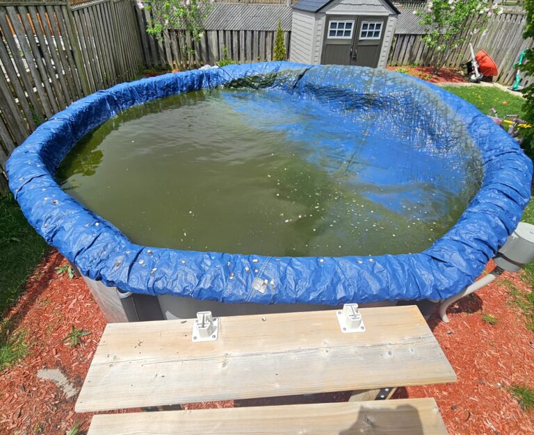 Above Ground Pool Cleaning